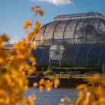 Kew Garden 2026