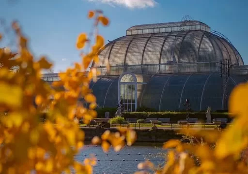 Kew Garden 2026